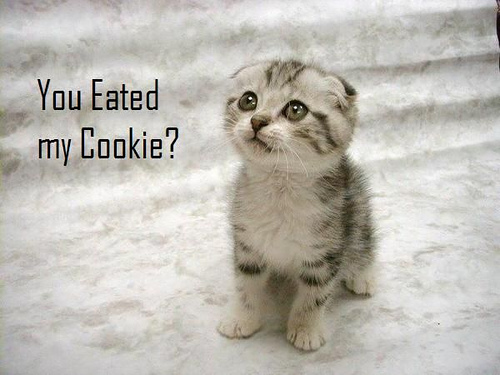 i eated cookie lol