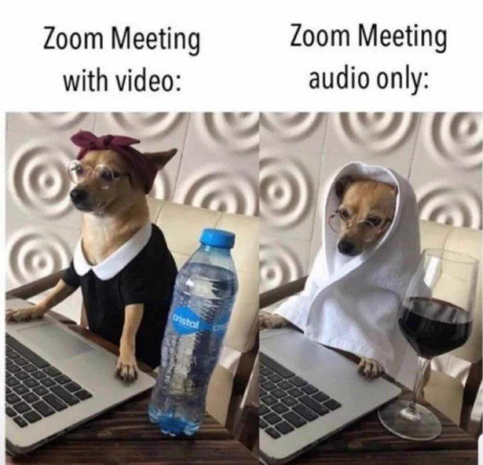 Zoom meetings